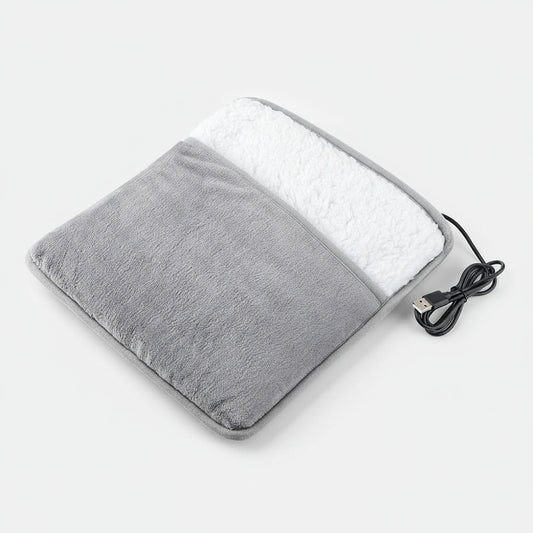 Electric foot warmer